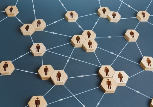 Organizzazione_network