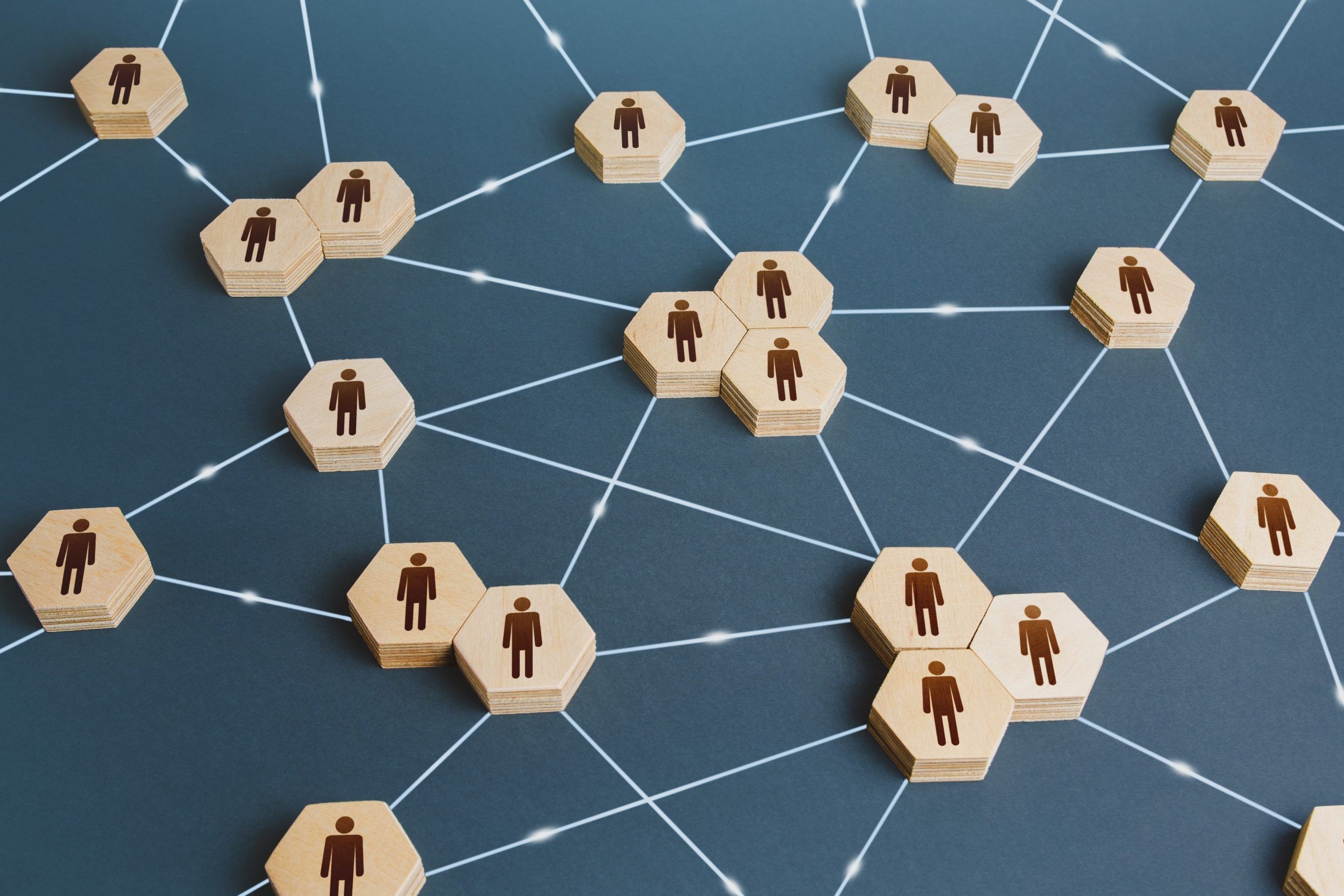 Organizzazione_network