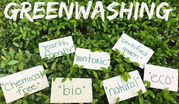 Conoscere la sostenibilità per evitare il Greenwashing