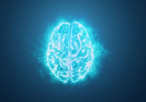 Brain_dreams